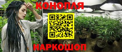 стаф Гусев